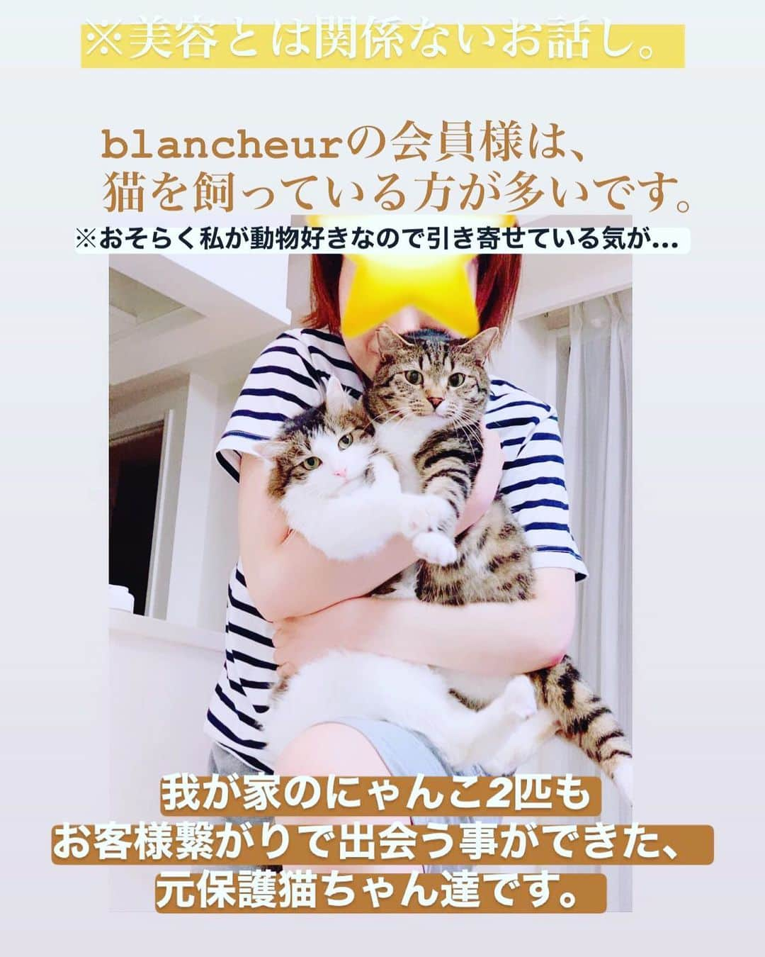 ブランシュール銀座店さんのインスタグラム写真 - (ブランシュール銀座店Instagram)「私は人と動物が大好きです。 施術も好きですが、もしかしたらそれよりも人と話す事が好きだからこの仕事を続けているのかもしれません。  #エステティシャン #痩身エステ  #会員制 #紹介制 #予約制 #猫好きさんと繋がりたい  #美容好きさんと繋がりたい  #ハイパーナイフ#ハイパーウェーブ  #5周年#移転オープン #店長施術」6月22日 21時06分 - blancheur.ginza