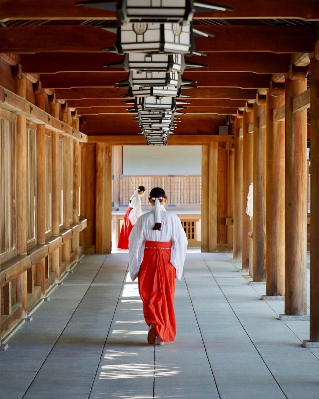 Koichiのインスタグラム：「| 朝の回廊 | Morning corridor . #Hellofrom #Nara #BeautifulJapan . #橿原神宮 #橿原 #奈良 .」