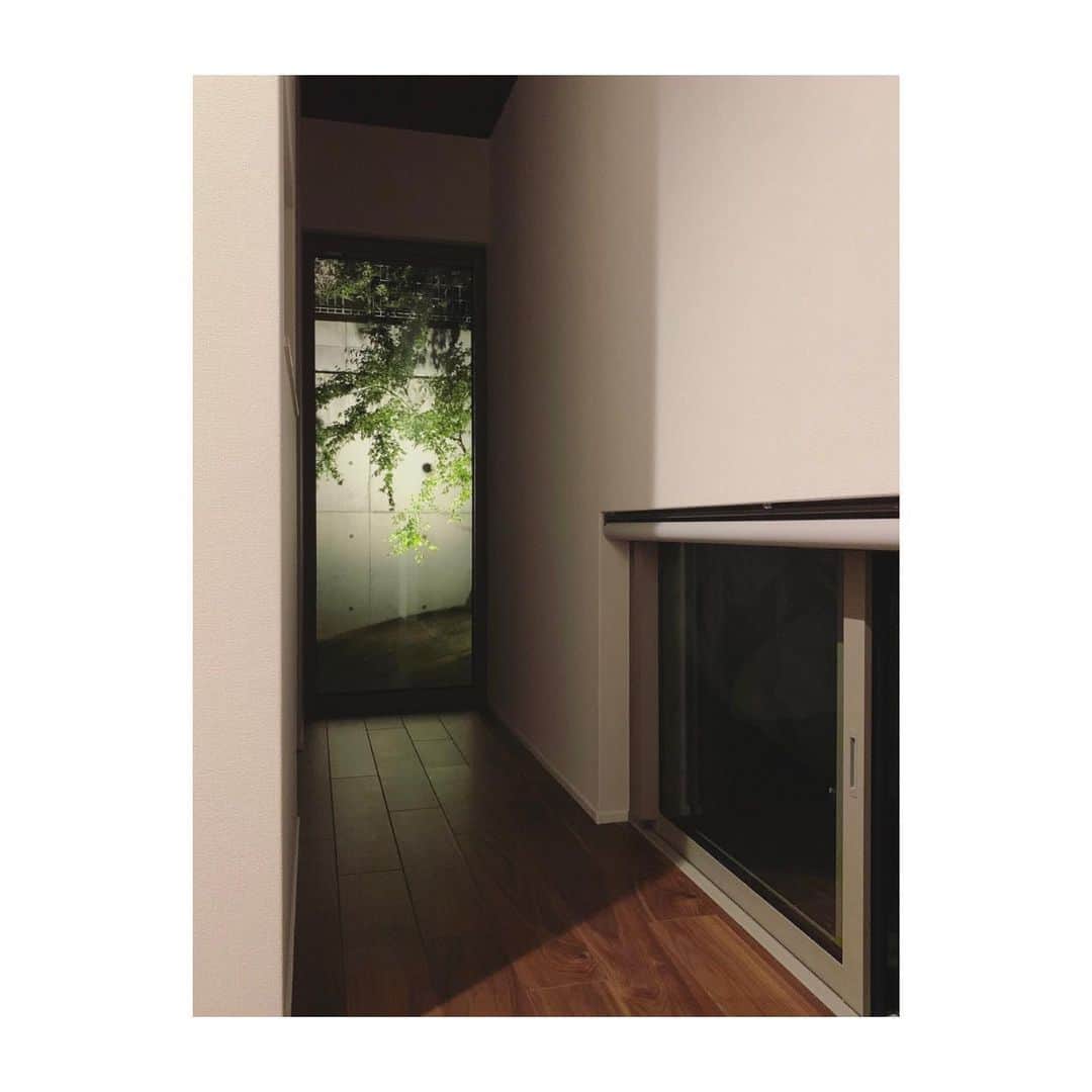 ungrid_minamiのインスタグラム：「. すこしだけもどって、、、 新居に引っ越しました . 玄関はいって見えるもみじも 広さに拘った落ちつけるリビングダイニングも すごくおきにいり . 先生の許可をもらって 私のわがままで2泊だけ過ごさせてもらったけど 次ここに帰るときには 息子も一緒なんだなと思うと不思議♡ . #平家 #新居 #積水ハウス #新築の木の匂いがたまらない」