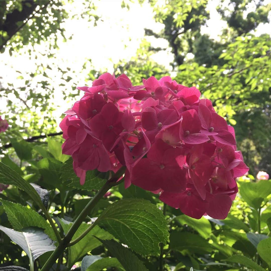 岸田繁さんのインスタグラム写真 - (岸田繁Instagram)「ドキドキする」6月22日 21時49分 - kishidashigeru