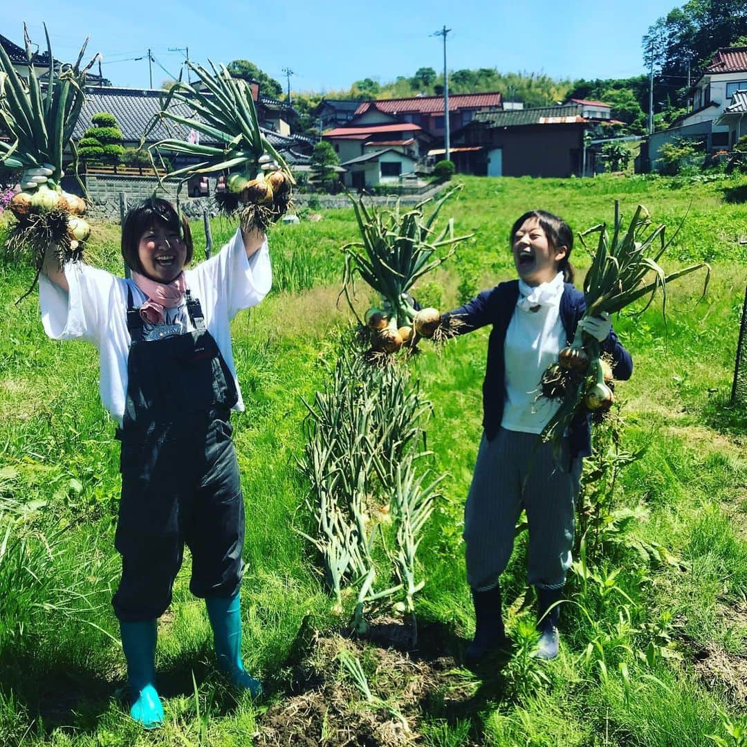 根岸えまのインスタグラム：「にちようびの昨日。﻿ 近所の仲良し農家さんちで玉ねぎ収穫の朝。﻿ 収穫した玉ねぎに紐つけて、シェアハウスの軒先に干す。﻿ お昼ごはんは井戸水で洗ったそうめん。﻿ これがいわゆる#からくわぐらし﻿ ﻿ インスタは#毎日あげることに意味がある らしい﻿ #そんなの無理じゃー﻿ それが#移住女子 #penturn  #半島移住 #移住style #ペンターン女子の休日 #からくわ #karakuwa #気仙沼 #kesennuma」