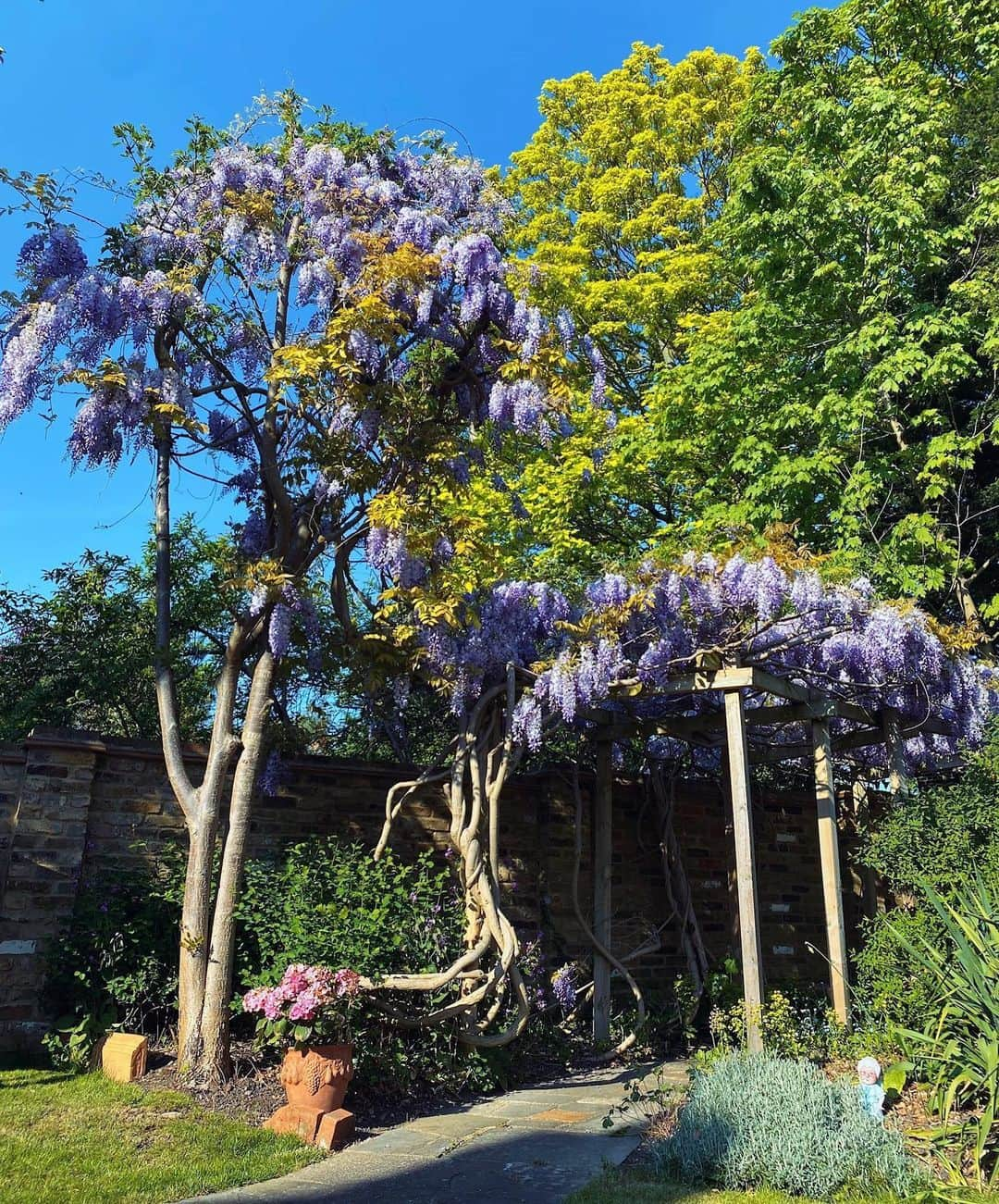 SOPHIA WEBSTERさんのインスタグラム写真 - (SOPHIA WEBSTERInstagram)「Mummy’s little helpers.. 🌸🌿🌻🌹🌱 a short moment of calm before the hosepipe wrestling began..💦🤣😭⁣ 📸 taken last month during my #wisteria window of opportunity- sadly here for a good time not a long time 💜 S x🦋 ⁣ ⁣ #sophiawebster#twintoddlers#twinstagram」6月22日 21時57分 - sophiawebster