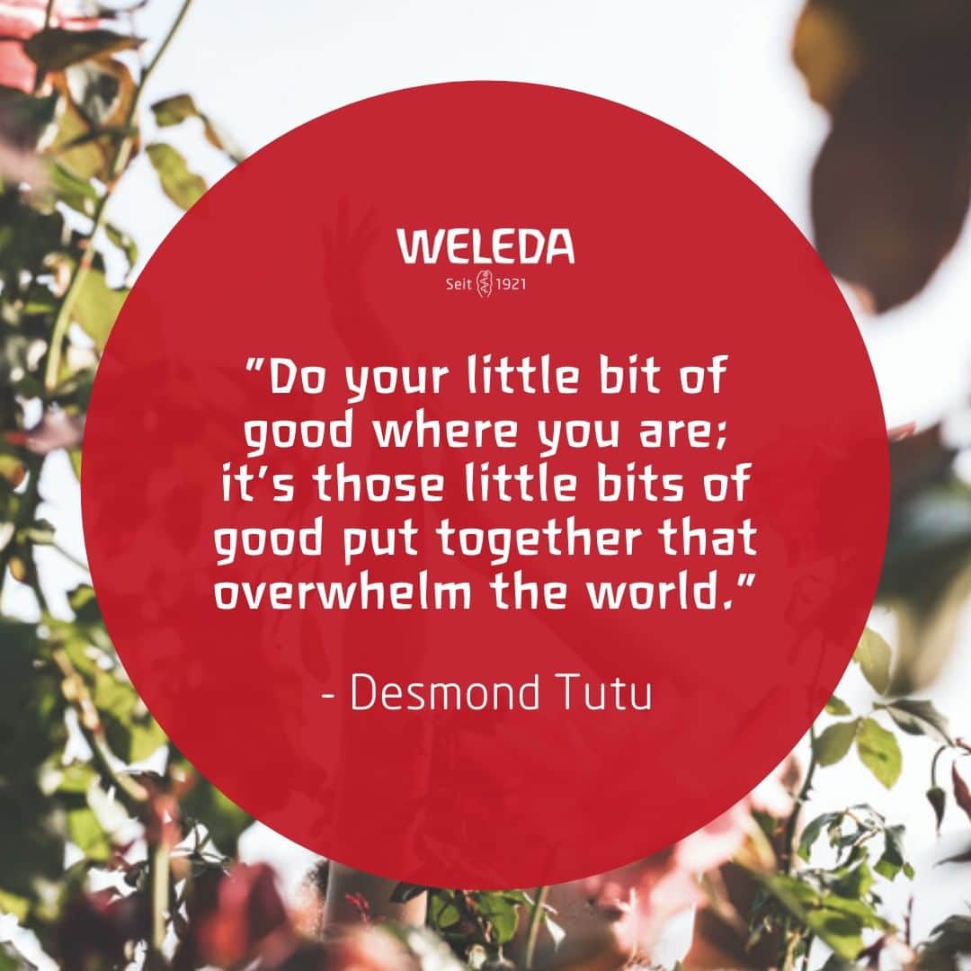 Weledaのインスタグラム：「Overwhelm the world with good ✨ #Quoteoftheday」