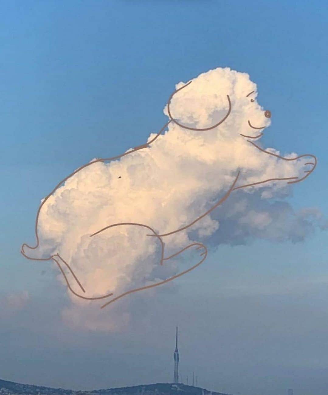 Cute baby animal videos picsさんのインスタグラム写真 - (Cute baby animal videos picsInstagram)「Cutest cloud in Istanbul 💙 From @hellodergisi」6月22日 22時11分 - cutie.animals.page