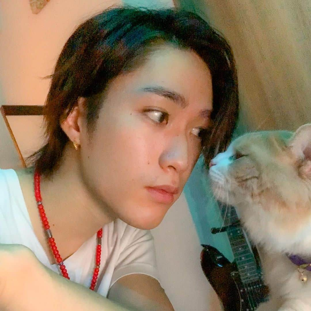 藤原樹さんのインスタグラム写真 - (藤原樹Instagram)「Good night🐈✨」6月22日 22時31分 - itsuki_fujiwara_official