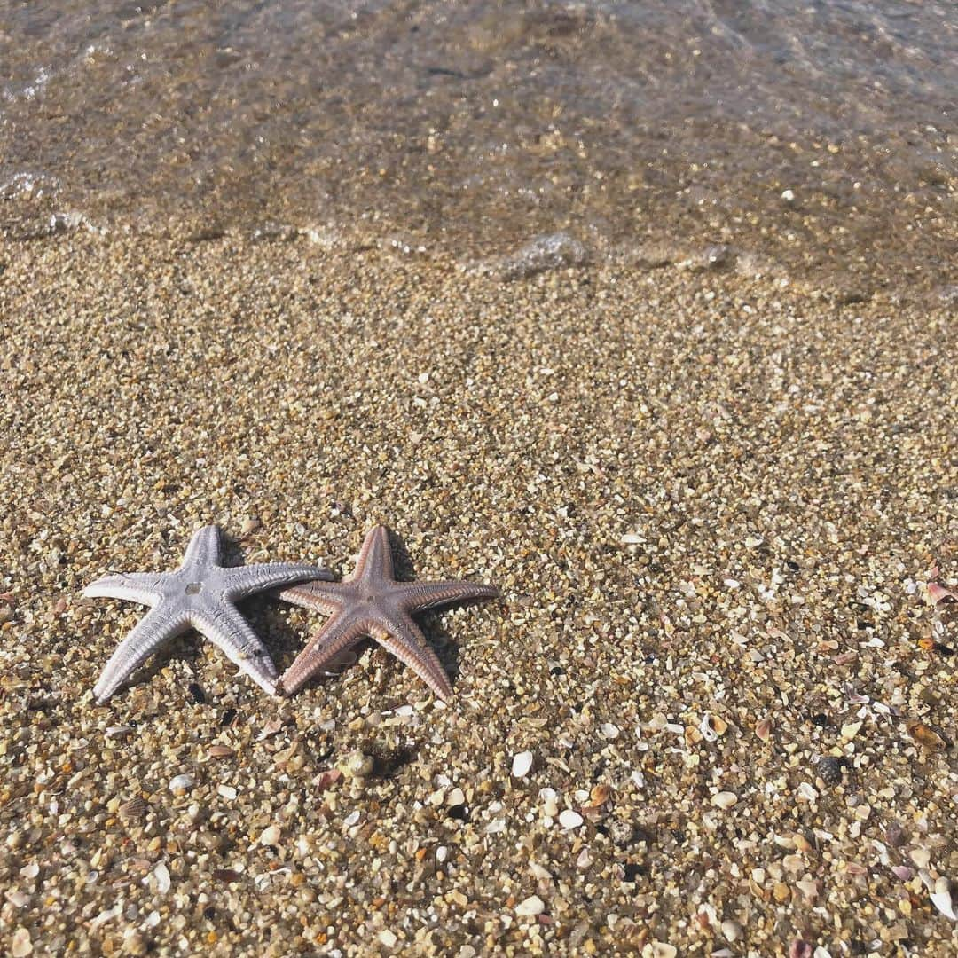 下川琴戸音のインスタグラム：「・ ・ Starfish ✩ ㅤ ひとで って英語でなんだろうって思ったから調べたら Starfish らしい！ めっちゃ可愛くない？？！！😂🧡 ・ ・ ・ #ひとで #starfish #sea #beach #⚓️」