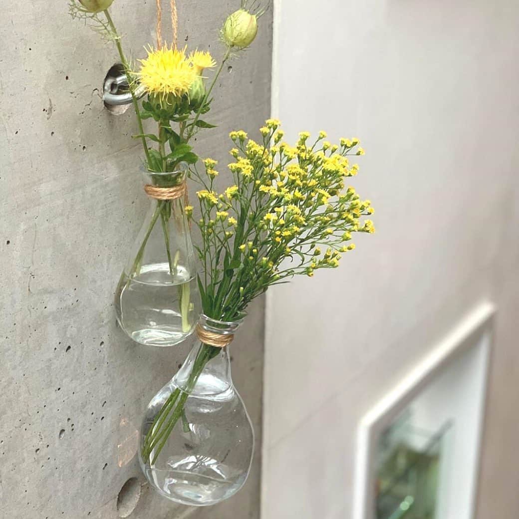 Bloomee LIFEさんのインスタグラム写真 - (Bloomee LIFEInstagram)「壁掛けでお花を楽しむ💐 ・ 麻紐やフックを使って、 壁にお花を飾るアイデア💡 ・ インテリアとしてもおしゃれですね✨ おうちの空間に、 すんなり馴染んでくれます🏠 ・ Special Thanks Photo by @kaguya910 さん ・ #bloomeelife#ブルーミーライフ#サブスク#花のある生活#花好きな人と繋がりたい#おうち時間#花部#花写真#花が好き#花を飾る#暮らしを楽しむ#日々の暮らし#丁寧な暮らし#日々#お花のある暮らし#素敵な休日#暮らしを整える#くらしのきほん#日々の暮らしを楽しむ#丁寧に暮らす#おうち時間#インテリアフラワー#ナチュラルインテリア#豊かな暮らし」6月22日 23時11分 - bloomee