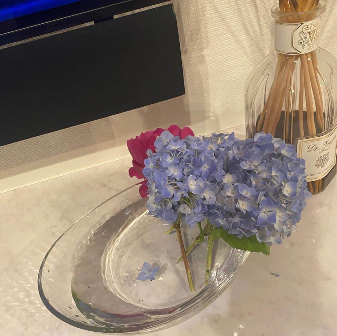 小島瑠璃子さんのインスタグラム写真 - (小島瑠璃子Instagram)「🌿 花王さんから頂いたお花を 色んな器でいけてみました。 立派なお花😭✨ ありがとうございました🙏🏻」6月22日 23時47分 - ruriko_kojima