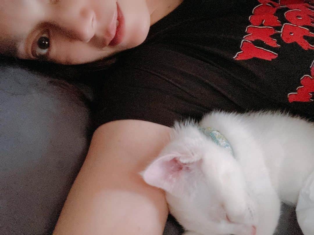 佐伯日菜子さんのインスタグラム写真 - (佐伯日菜子Instagram)「バーニャが一緒に寝てくれたのでたいへん幸せ。 #ねこすたぐらむ  #猫  #白猫  #cat  #ニャンスタグラム  #猫と暮らす  #幸せな時間  #佐伯日菜子  #ミロバーニャ」6月22日 23時56分 - hinakosaeki