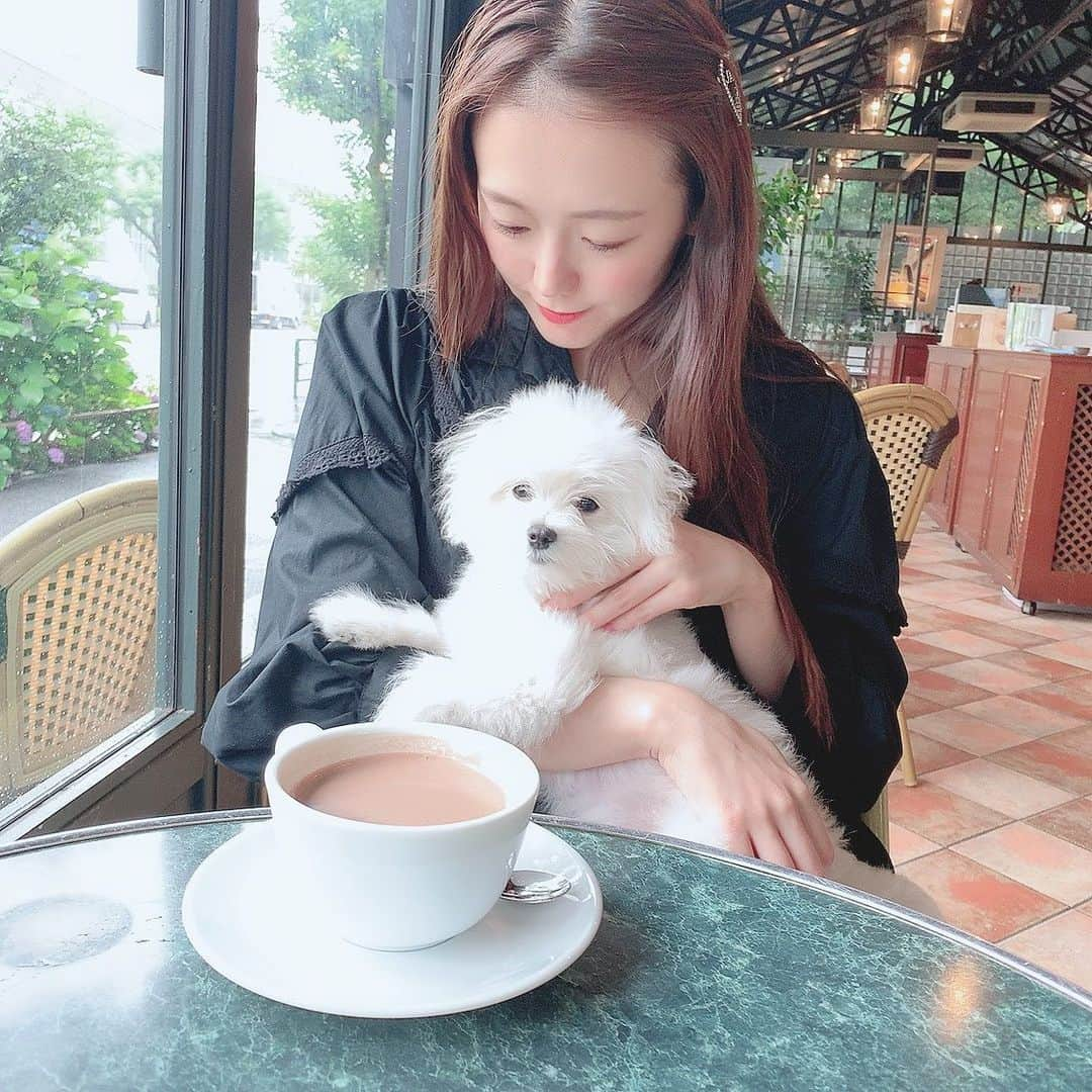 市原佑梨さんのインスタグラム写真 - (市原佑梨Instagram)「with my friend's dog🐕 白いもふもふなハピとのlunch🐶🍽✨💓💓💓 #ivyplace#aso#daikanyamalunch#代官山ランチ#わんすたぐらむ」6月22日 23時57分 - yuri_ichihara