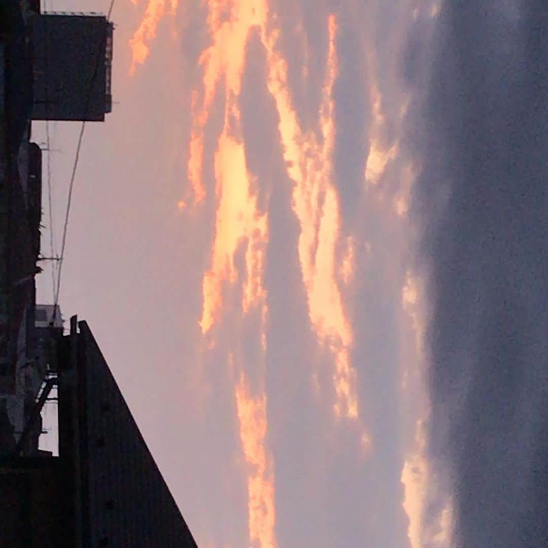 のインスタグラム：「人間って馬鹿みたいに難しい でも馬鹿だから愛しい なんの話だ、」