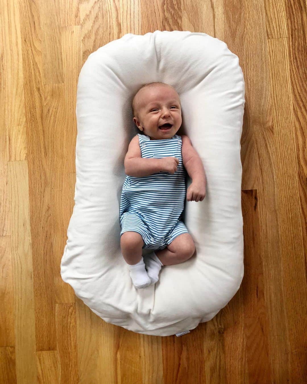 のインスタグラム：「Sweet Baby Jacks 💙」