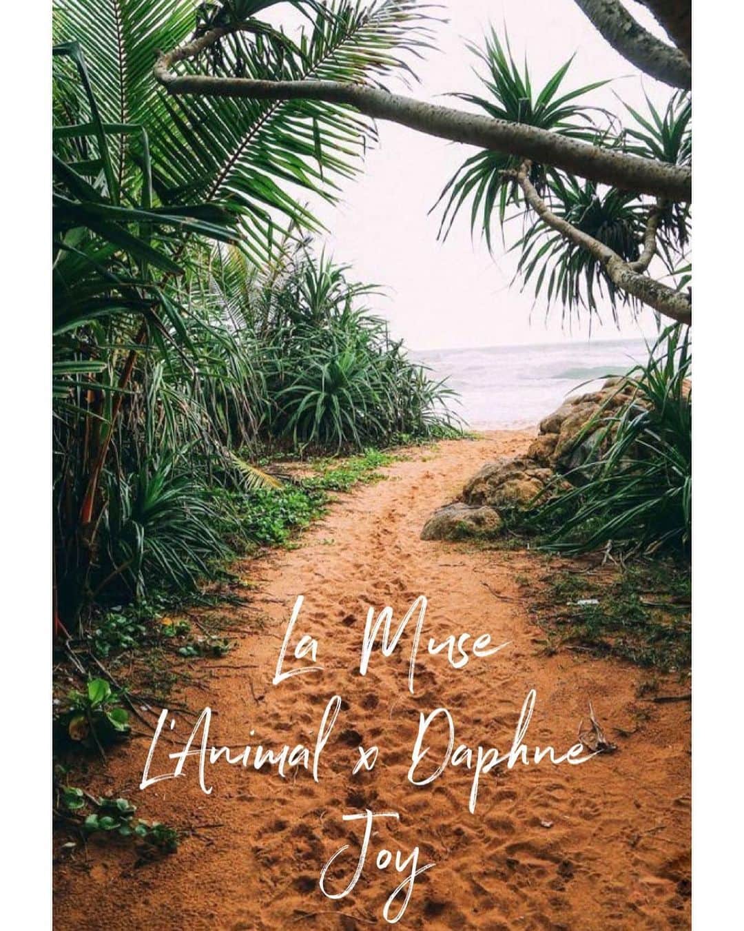 ダフネ・ジョイのインスタグラム：「L’Animal x Daphne Joy Swim Collab is now LIVE! Click link in Bio to shop while styles last ladies 🐆 @lanimalco x @daphnejoycollection」
