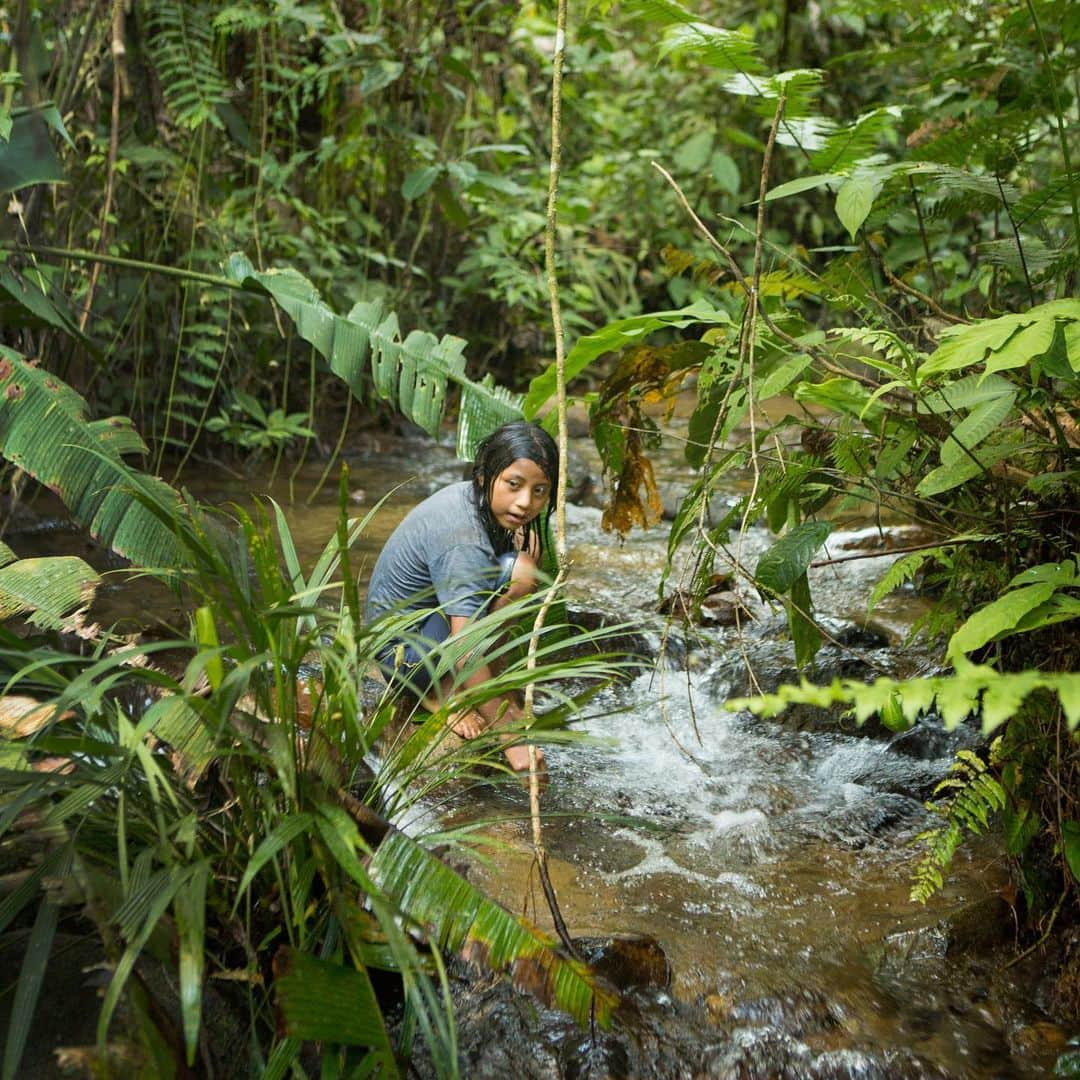 National Geographic Travelさんのインスタグラム写真 - (National Geographic TravelInstagram)「Photos by @hellokrisdavidson | Chocolate begins here with this road leading to Flor del Bosque, an Amazonian farming community in the Ecuadorian jungle. It was an incredible honor to photograph this story a few years back, with a specific focus on farmer-owned cacao harvesting, the first step in chocolate production. I tasted so much delicious chocolate along the way, but my favorite part was getting to know the people behind the deliciousness, including a shaman in the remote village of Rio Arajuno who graciously showed me other wondrous plants in the jungle and how they are used as medicine.  Cacao harvesting is hard work, from hiking up and down muddy trails to tend to the cacao trees year-round, and after the twice-annual harvest, to finally transporting the precious beans via canoe down the Napo River into larger towns for fermenting. I’ll never look at a chocolate bar the same way again, and I always buy single-origin chocolate now (it tends to be a good way to support these farmers). Pictured in the series: Flor del Bosque is one of the communities working with Asociacíon Tsatsayaku, Pacari cacao educational center in Santa Rita, and Santa Barbara, a remote cacao-harvesting community along Rio Arajuno working with the Kallari cooperative. #chocolate #Ecuador #Amazon」6月23日 1時15分 - natgeotravel