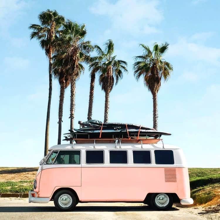 ブルーライフのインスタグラム：「there’s nothing like a California summer ☀️🍉💫🍒#shopplanetblue」