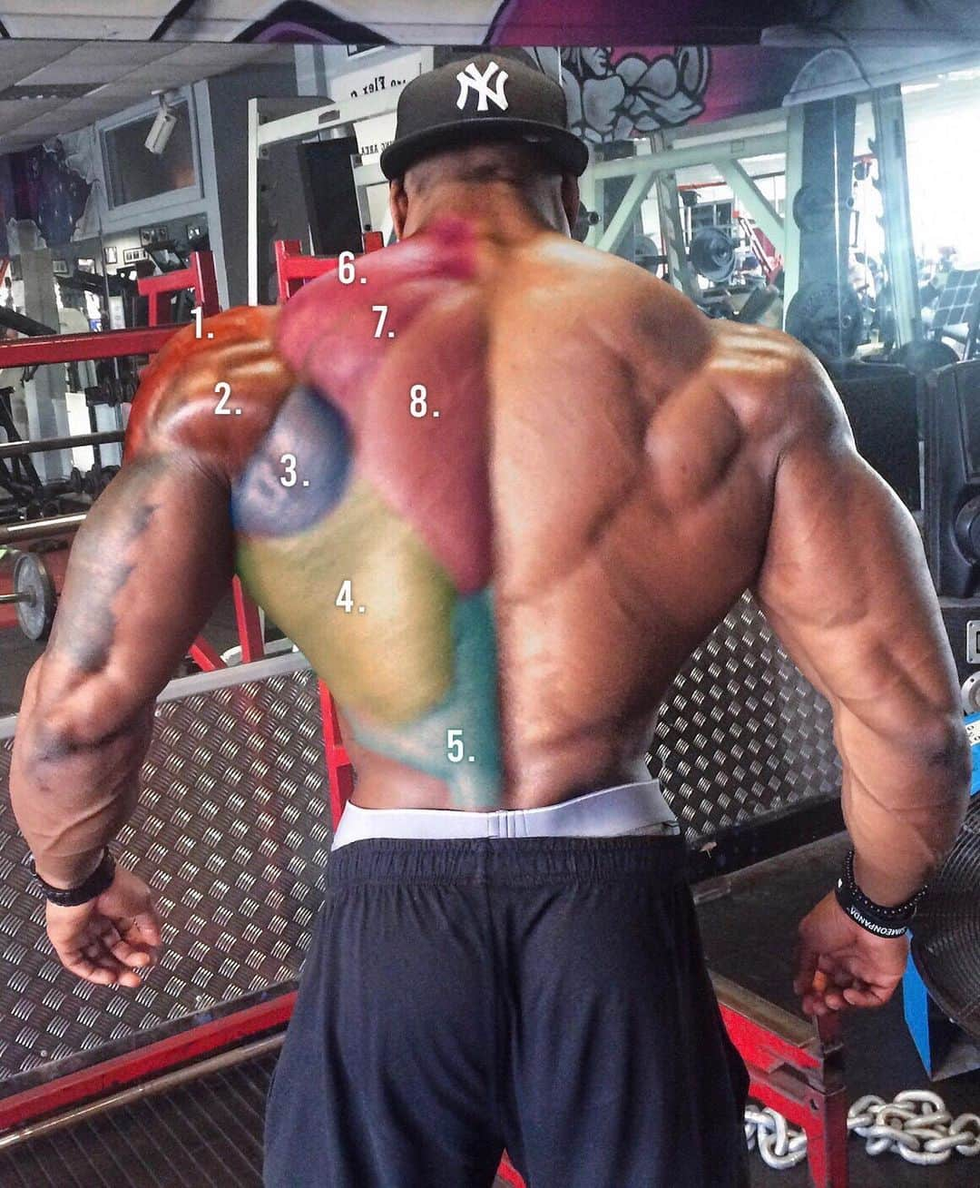 Simeon Pandaさんのインスタグラム写真 - (Simeon PandaInstagram)「How to target your back & shoulders 🔥Tag a friend 👉 Swipe for exercises⁣ ⁣ Full list below along with an exercise you can perform to target the muscles. ⁣⁣ ⁣⁣ Slides 👇⁣ 3️⃣ Rear Delt Row⁣ Rear Delts & Insfrapinatus (2,3)⁣ ⁣ 4️⃣ Lateral Raise⁣ Medial Deltoid (1)⁣ ⁣ 5️⃣ Face Pulls⁣ Rear Delts & Traps (2,6,7,8)⁣ ⁣ 6️⃣ Military Press⁣ Deltoids (1,2)⁣ ⁣ 7️⃣ Tri-Set: High Row, Mid Row ⁣ & Straight Arm Pulldown⁣ Shoulders & Back (1,2,3,4,6,7,8)⁣ ⁣ 8️⃣ Floor Rope Pulldown ⁣ Lats (4,3)⁣ ⁣ 9️⃣ Single Arm Row⁣ Lats (4,3)⁣ ⁣ 🔟 Dumbbell Stiff Legged Deadlift⁣ Lower Back (5)⁣ ⁣ Sign up to the @elimin8challenge for your chance to win a share of $20,000 💵 & fly ✈️ 📍USA to train with me 💪 Head to Elimin8.com | Link in bio⁣⁣ ⁣⁣⁣⁣ 👉 Get the @justliftofficial Knee Wraps I use at SIMEONPANDA.COM⁣ ⁣ 👉 Be sure to SUBSCRIBE to my YouTube channel: YouTube.com/simeonpanda 👈⁣⁣⁣⁣⁣⁣⁣ Many more workouts all FREE at Youtube.com/simeonpanda ⁣⁣⁣⁣⁣⁣⁣ ⁣⁣⁣⁣ 💊 Follow @innosupps ⚡️ for all the supplements I use 👌⁣⁣⁣⁣ ⁣ #simeonpanda #backexercises⁣」6月23日 2時21分 - simeonpanda