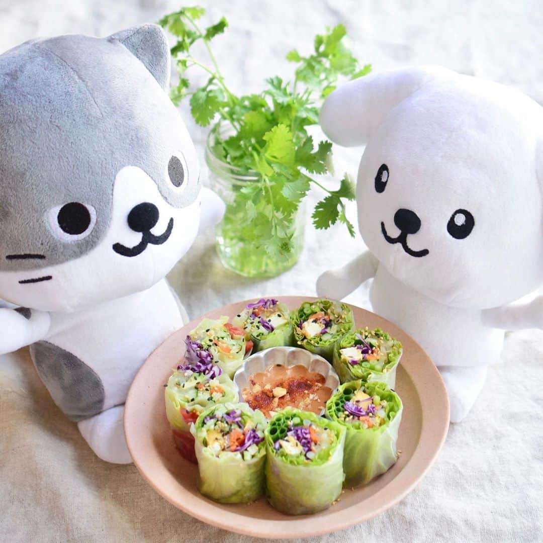 ダスキン ダス犬【公式】のインスタグラム：「【ダス犬とつくろ♪ヘルシー料理】 . 少し変わったアジアンご飯でおうち時間を楽しもう! . ●生春巻き〜ピーナッツソース〜　※4人分 ライスペーパー8枚 レタス、もやし、人参、きゅうり、厚揚げ、 アボカド、プチトマト、紫キャベツ、わけぎ、 パクチーなどお好みの具材を適量 . ■ピーナッツソース ピーナッツバター(無添加) 40g ダイスカットトマト缶30g 塩3g レモン汁10g 醤油10g メープルシロップ30g 水15g にんにく1/2片 . 1.ソースは、にんにくはすりおろし、トマト缶は実を潰すようにして、なめらかになるまでよく混ぜ合わせる。 2. そのほかの材料は生春巻きに包む長さに揃えてカット、または千切りにする。もやしはさっと湯通ししておくとよい。 3.ライスペーパーをぬるま湯に3秒ほど浸けて(全体が浸かる大きい器を使うのがおすすめ)、まだライスペーパーが固いうちに具材を真ん中より少し手前に乗せる。具材を乗せ、ペーパーの手前と両サイドを折り、くるくると最後まで巻き、両サイドを落として2等分に切る。ピーナッツソースを添える。 . ＊MEMO＊ ピーナッツソースはチリパウダー少々を加えると大人の方向けになります。 時間を置く場合は、巻き終わった生春巻きにオリーブオイルなどをハケなどで塗っておくとくっつきにくいです。 . レシピ監修 @iina_veganfoodcreator」
