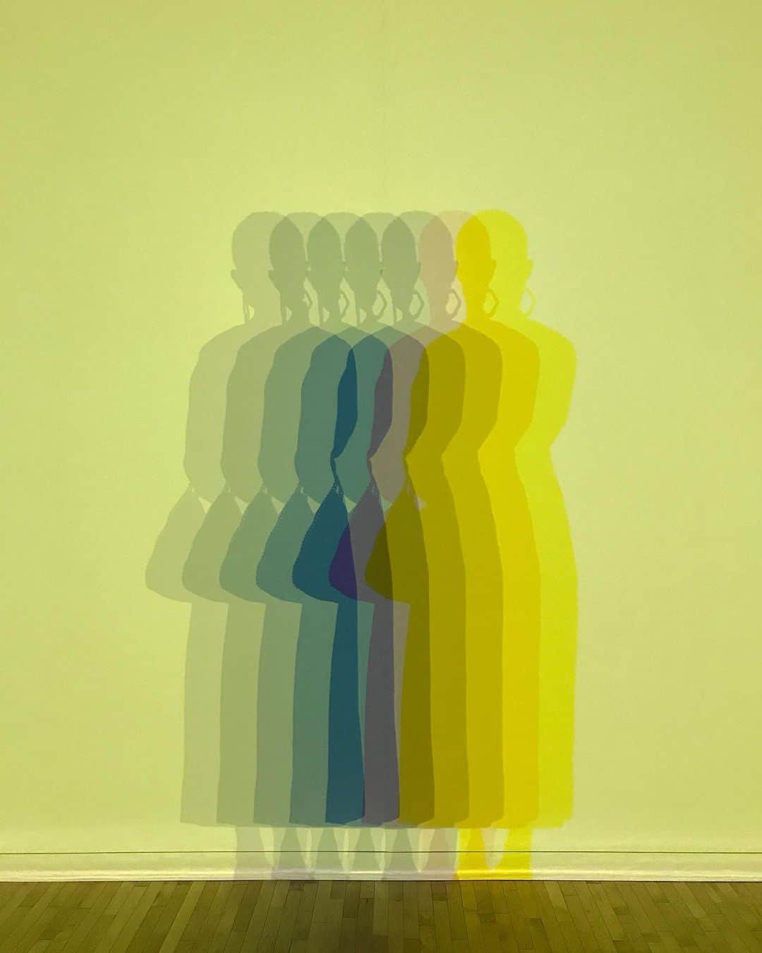 のインスタグラム：「Olafur Eliasson @studioolafureliasson  Sometimes the river is the bridge オラファー・エリアソン ときに川は橋となる  #OlafurEliasson #オラファーエリアソン #art」