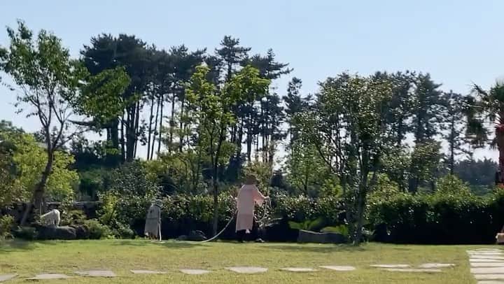 ジェアのインスタグラム：「🌿🐶」