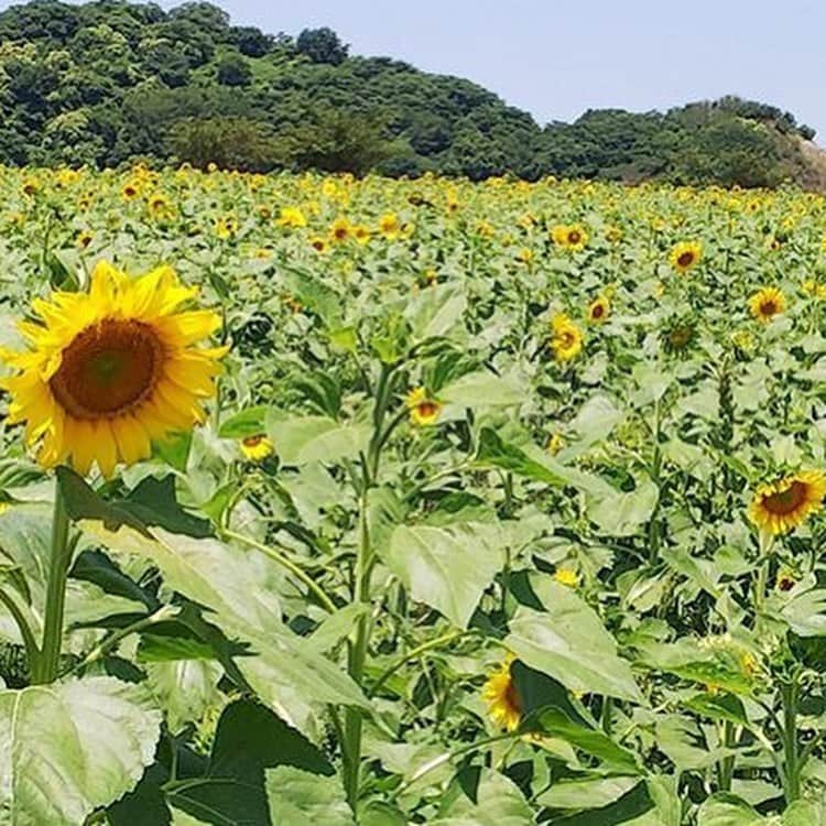 徳重杏奈のグルメインスタ