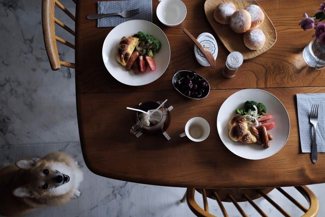 maggydaisyのインスタグラム：「_  雨ばっかりだねぇ… 泥除けエプロン、もう一枚買おうかねー  #onthetable #breakfast #朝ごはん #maggydaisymore20200623 #corgi #コーギー #犬のいる暮らし #里親 #石川隆児 #ツォップ #zopf」