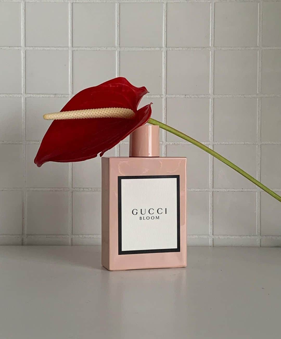 菅沼ゆり（ゆりっぱ）さんのインスタグラム写真 - (菅沼ゆり（ゆりっぱ）Instagram)「お家時間の癒しの一つは香り🏛 普段からお香をたいたり 香水つけて気分を上げてます。 GUCCI Bloom EDPも ひとふきで力強いフローラルの香りがまとって 今日も自分らしく頑張ろう〜と思える✴︎ 陶器のようなボトルも最高に可愛い！  #InBloom #GucciBeauty @guccibeauty」6月23日 13時53分 - yurippa93
