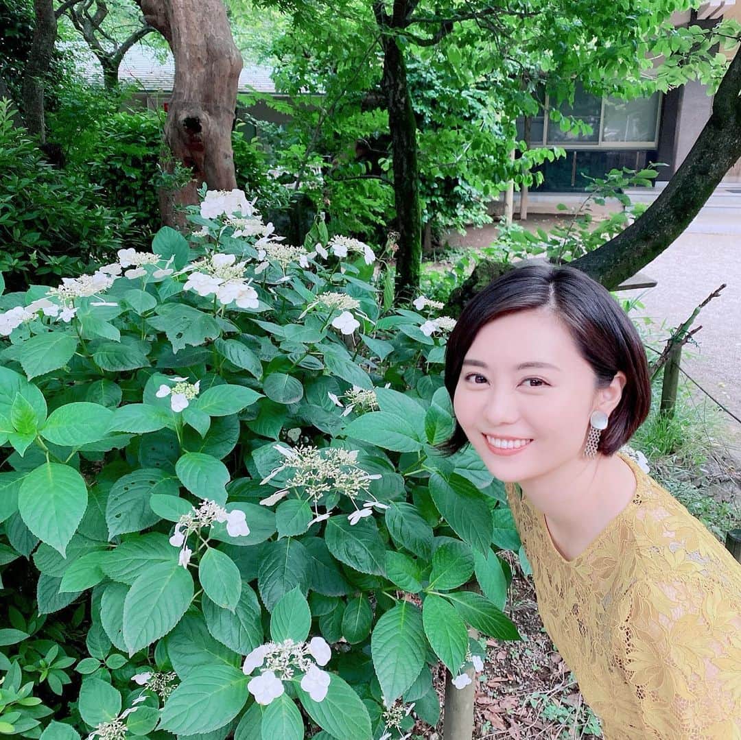 瀧口友里奈さんのインスタグラム写真 - (瀧口友里奈Instagram)「・ 𝒢𝑜𝑜𝒹 𝓂𝑜𝓇𝓃𝒾𝓃𝑔🍃🌱🌿 ・ 梅雨もそんなに嫌いじゃないよ。 ・ #greennature #rainyday」6月23日 5時29分 - yurinatakiguchi