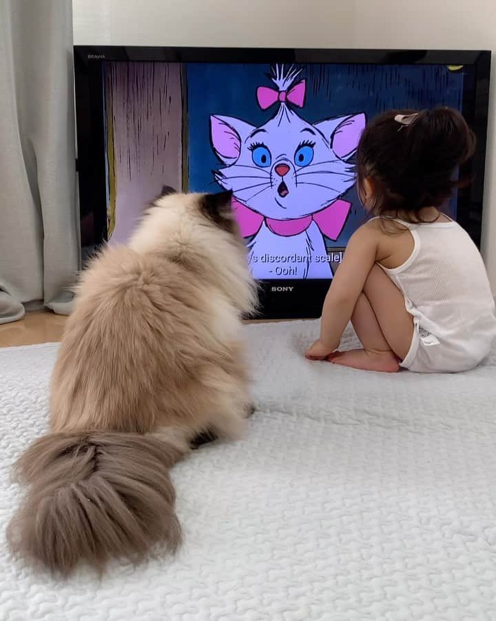 plumeのインスタグラム