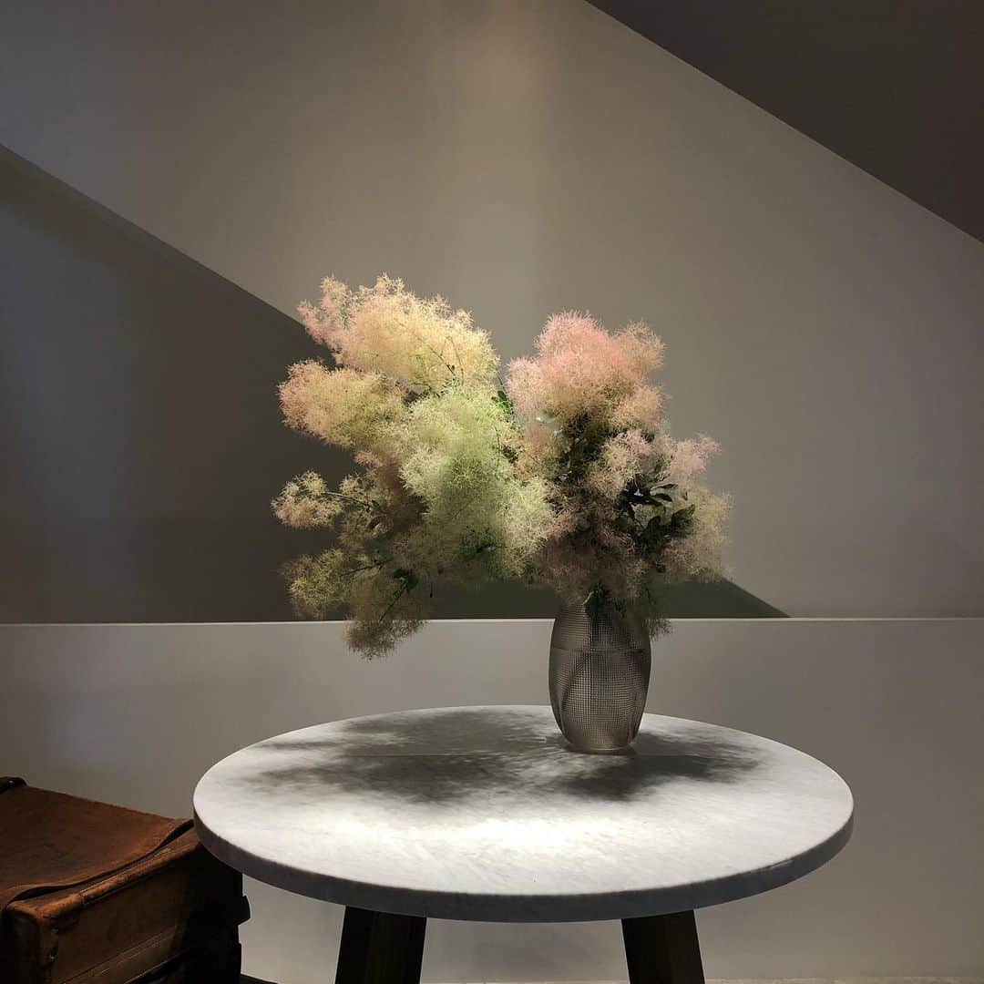 플로리스트 이주연 florist Lee Ju Yeonさんのインスタグラム写真 - (플로리스트 이주연 florist Lee Ju YeonInstagram)「. . 이번주 메인은 스모그트리  청담 아난티 Display . . #display #centerpiece #스모그트리 #청담아난티 #아난티 #디스플레이 . .  订花 WeChat ID vaness_flower 페이팔 결제 가능  클래스상시모집 당일꽃주문가능 . #수업문의 #주문예약 #lesson #Order  Katalk ID vaness52 WeChat ID vaness_flower E-mail vanessflower@naver.com . 강남구 역삼동608-16 📞02-545-6813 . #vanessflower #florist #flowershop #handtied #flowerlesson #花束 #花束包装 #바네스플라워 #플로리스트 #꽃다발 #부케 #플로리스트학원 #역삼역꽃집 #언주역꽃집 #플라워레슨 #꽃다발주문 #꽃수업 #꽃주문」6月23日 7時15分 - vanessflower