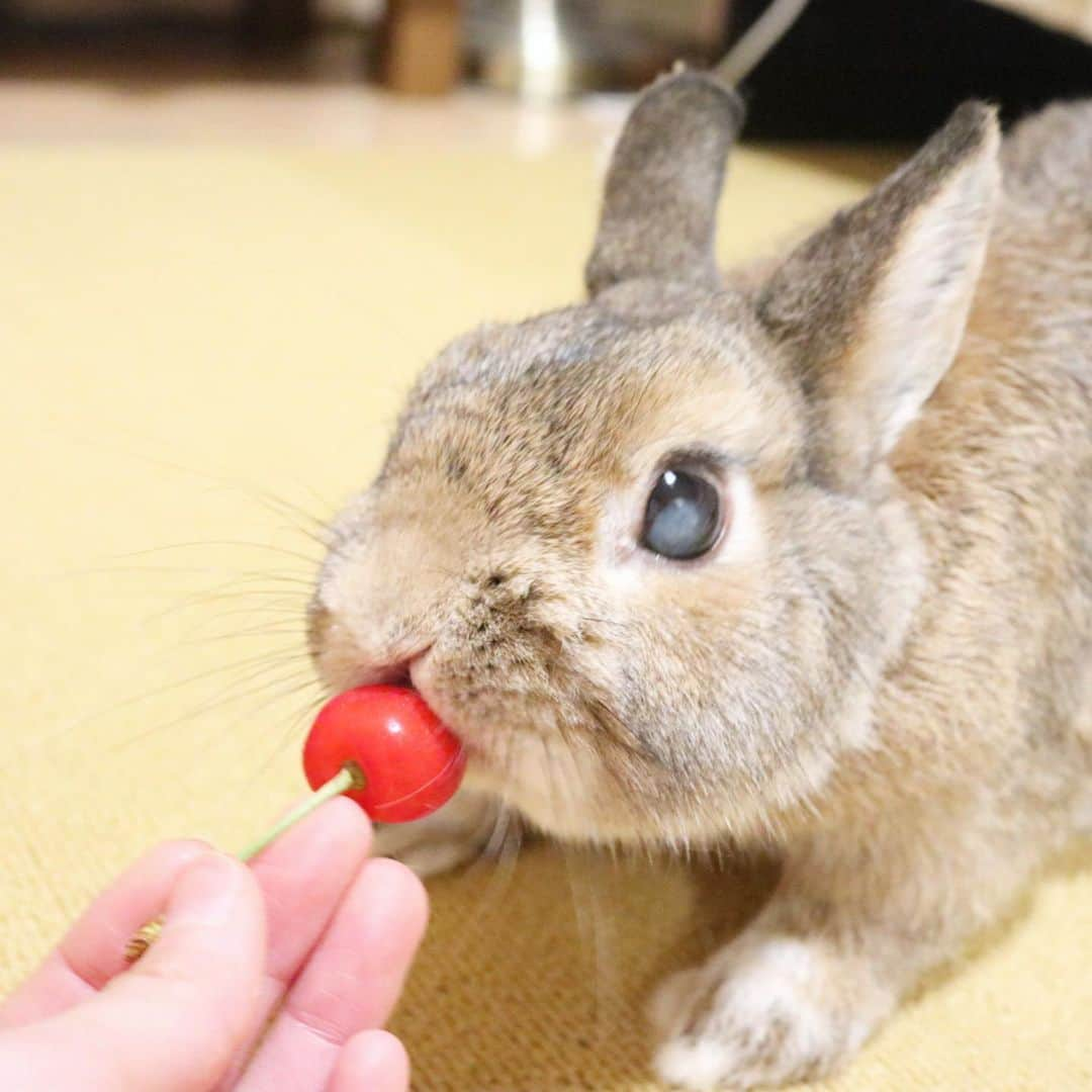 うー & なー ❤️ウチムラのインスタグラム