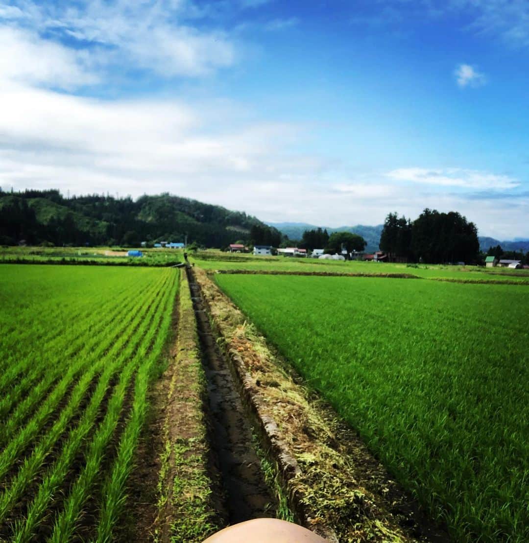 あばれる君のインスタグラム：「今日も今日とて福島県。空と田んぼが本当に美しいです。  #テレビ朝日系列東北六県 #秘境メシ」