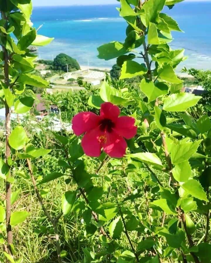 クボタマサヒコのインスタグラム：「#慰霊の日 #沖縄 #okinawa 沖縄を偲んで。 11:50から追悼式🙏🏻」
