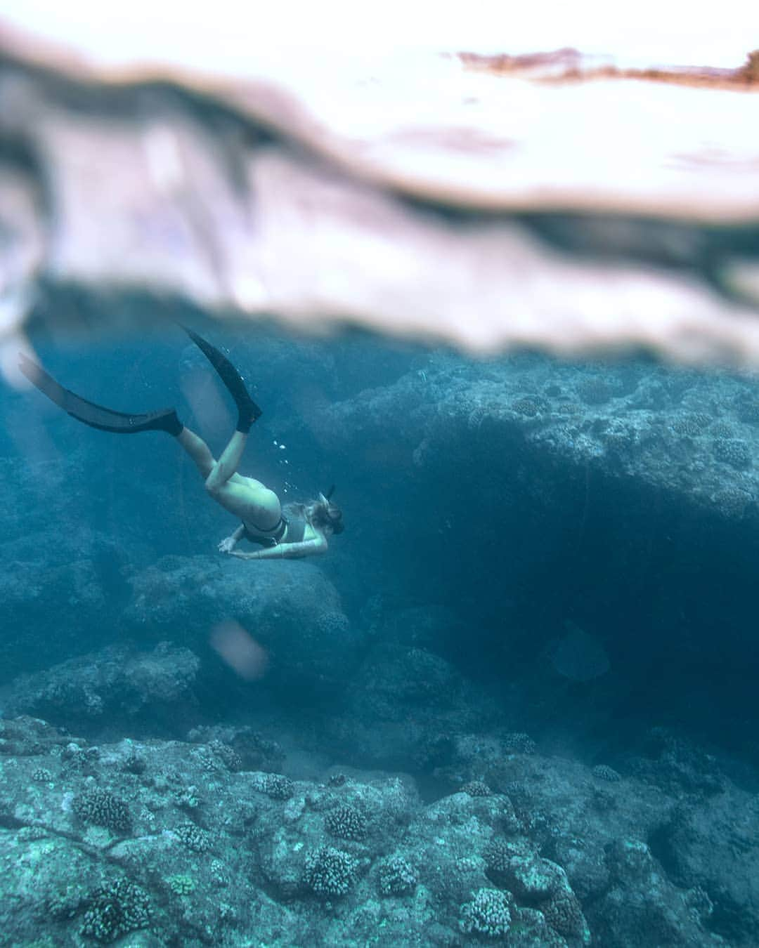 And Youさんのインスタグラム写真 - (And YouInstagram)「Diving into the week like 💦. ​. ​. ​. ​. ​. ​#newweek #mondayblues #dive #divetosurvive #freediving #hawaiilife」6月23日 9時41分 - dolphinsandyou