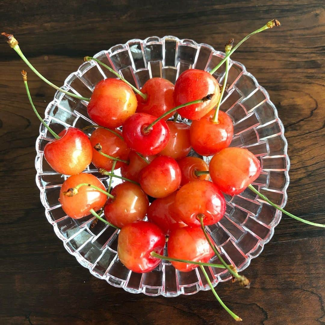 momokoさんのインスタグラム写真 - (momokoInstagram)「朝10時のおやつ🍒🍒🍒 加工なしにこれだけつやっつや✨  はぁ幸せ、、☺️ #朝10時のおやつ  #佐藤錦  #沢山届いたので贅沢に盛る😎」6月23日 10時43分 - momoko_tsukamomo