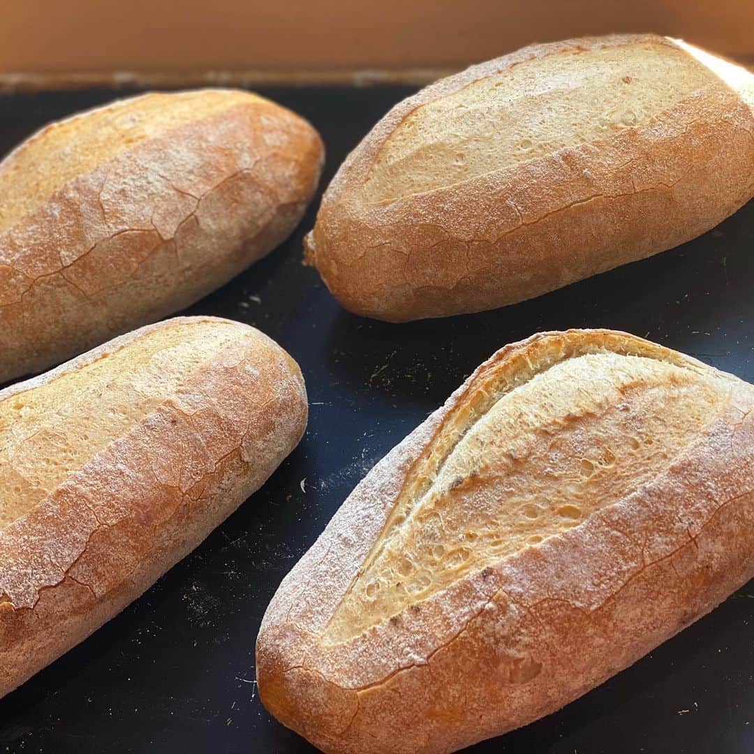 魔女菅原のグルメインスタ