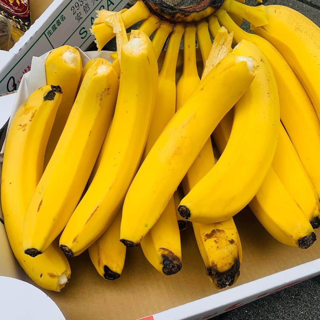 一条もんこさんのインスタグラム写真 - (一条もんこInstagram)「焼きバナナのカルダモンソース。  大量買いしたバナナ。 加工しないで食べ切りたかったけど、やっぱり遊んでしまいました。 バターでバナナを焼くとふんわりマシュマロみたいな食感になります。 #自作#焼きバナナのカルダモンソース#スパイス#スパイス料理#お菓子#簡単お菓子#フライパンお菓子#おやつ#スパイス菓子#カルダモン#バナナ#とろける食感#ふわふわ#トロトロ#徒然なるままに#一条もんこ」6月23日 11時36分 - monko1215
