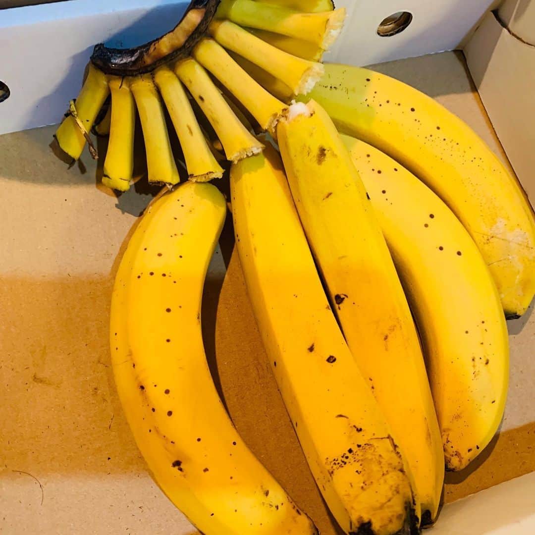 一条もんこさんのインスタグラム写真 - (一条もんこInstagram)「焼きバナナのカルダモンソース。  大量買いしたバナナ。 加工しないで食べ切りたかったけど、やっぱり遊んでしまいました。 バターでバナナを焼くとふんわりマシュマロみたいな食感になります。 #自作#焼きバナナのカルダモンソース#スパイス#スパイス料理#お菓子#簡単お菓子#フライパンお菓子#おやつ#スパイス菓子#カルダモン#バナナ#とろける食感#ふわふわ#トロトロ#徒然なるままに#一条もんこ」6月23日 11時36分 - monko1215