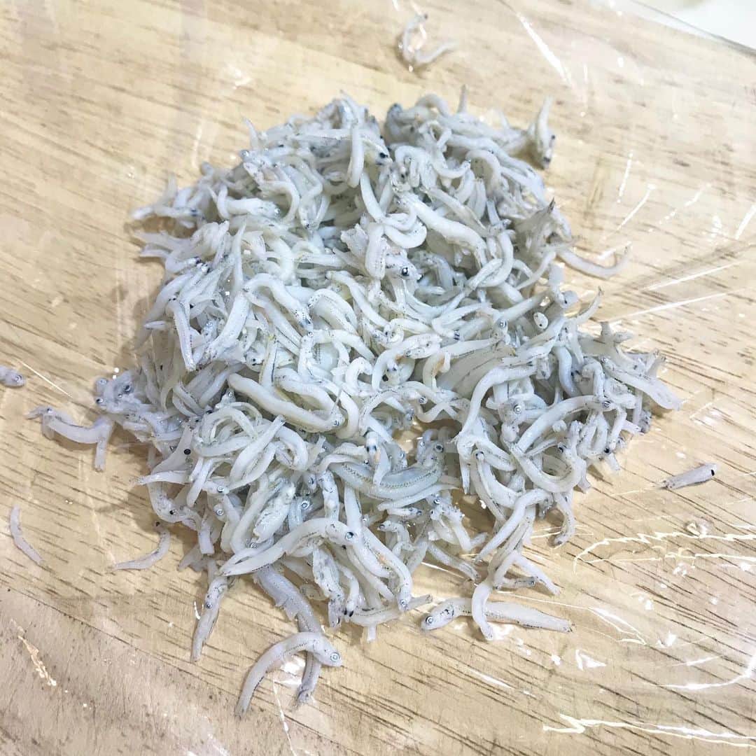 のインスタグラム：「青魚はダメなのに、しらすはokな謎…  稚魚なら良いのか？皮がダメって事なのかなぁ  #しらす #離乳食 #男の子ベビー #男の子ママ #男の子 #7ヶ月ベビー #babyboy #7monthsbaby #親バカ部ig_baby  #親バカ部 　#0歳　#新米ママ　#ベビー　#成長記録　#育児記録　#息子　#乳児 #赤ちゃん #赤ちゃん写真 #こそだてぐらむ #赤ちゃんのいる生活」