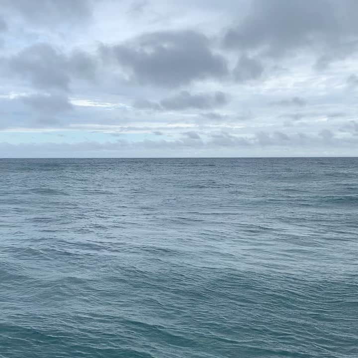 松田美由紀のインスタグラム：「ゆたゆた、つながる水 #奄美大島#海#つながる海#松田美由紀」