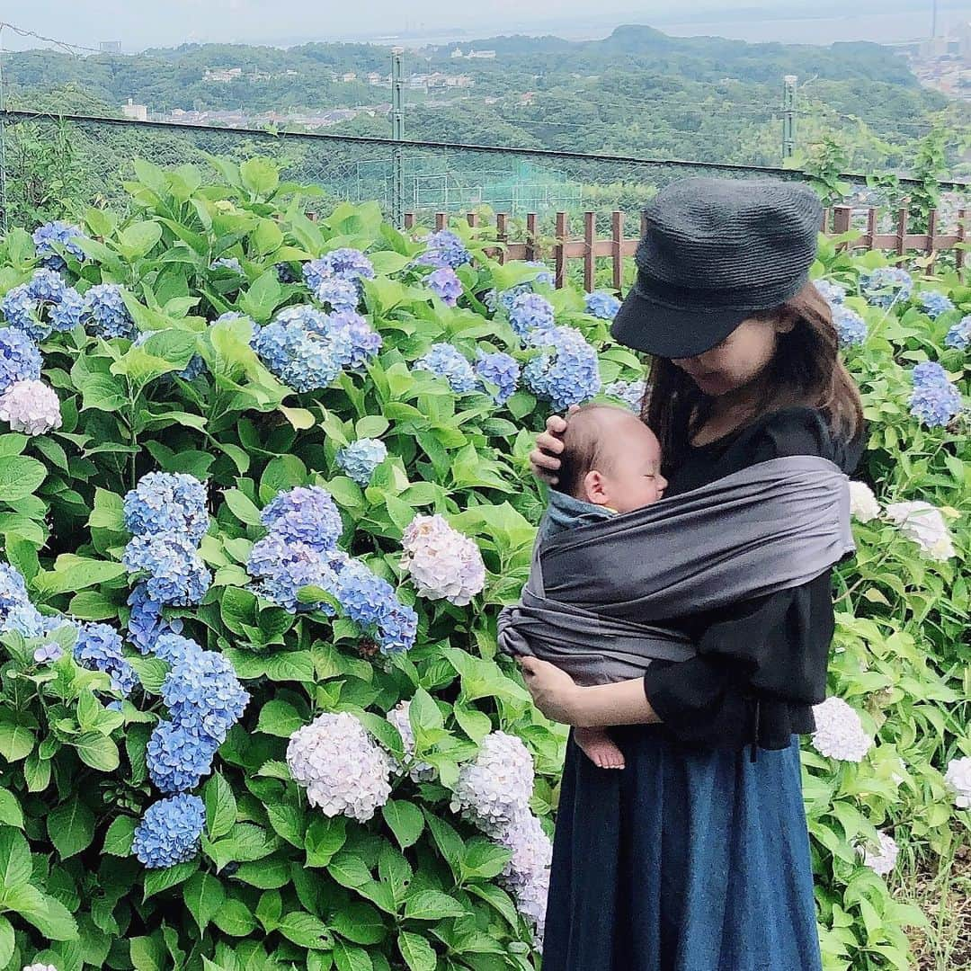 長谷川真美さんのインスタグラム写真 - (長谷川真美Instagram)「🤱💕 ・ 週末は家族で #金沢動物園 へ🦒✨ ・ #抱っこ紐 は #メイアンドマイ @maynmai_jp でお出かけ💗 ・ ベビーカーの時も必ず 抱っこ紐も持ち運んでるんだけど すっごいコンパクトで助かる✨ ・ 見た目も可愛いし #メイアンドマイ抱っこひも で ゆらゆらしていると一瞬で爆睡💤 ・ #帽子 は #14plus のだよ💕 @14plusjp ・ #メイアンドマイ抱っこ紐　#mayandmai #ママライフ #生後2ヶ月 #2ヶ月ベビー #2ヶ月baby  #男の子ママ #子連れお出かけ #紫陽花 #あじさい #次男 #2boys #はちきゅう兄弟」6月23日 21時59分 - maami.hase