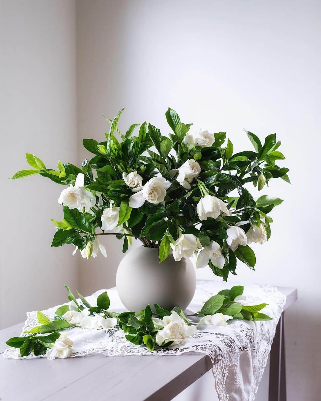 増田由希子さんのインスタグラム写真 - (増田由希子Instagram)「Gardenia season🌿 #gaedenia #gardenias #beautifulfragrance #cooee 昔旅先で購入したレースのテーブルクロスをくちなしの花に合わせてみました。クラシックな感じが新鮮😌 #6月の花　#くちなし」6月23日 22時03分 - nonihana_
