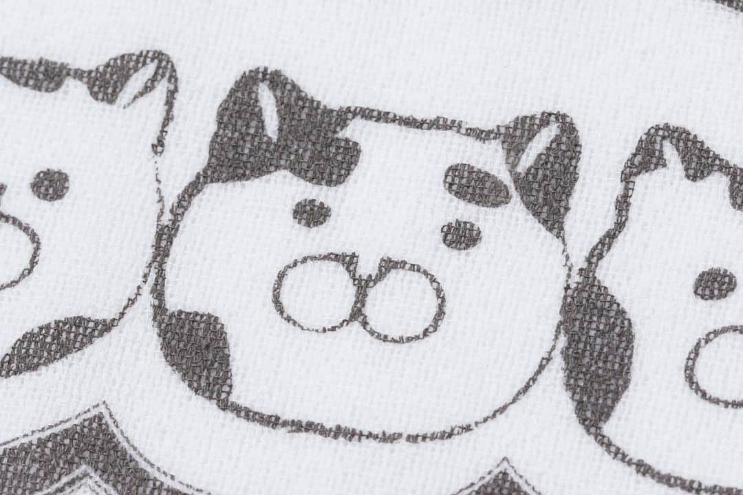 ねこのインスタグラム
