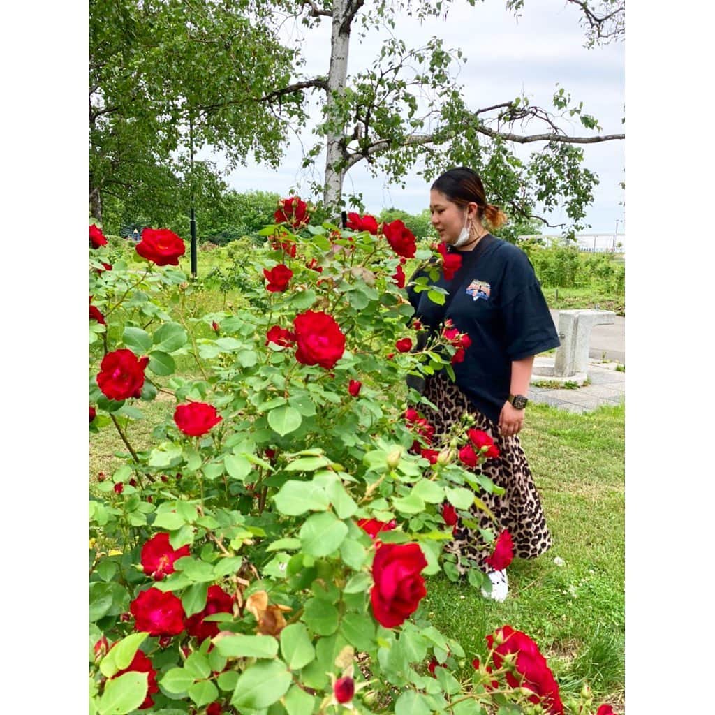 林唯衣さんのインスタグラム写真 - (林唯衣Instagram)「ほんといい公園だなあ、お花が沢山！広大でゆったりのんびり、散歩がとても楽しい場所、近所の人達が羨ましい。いまは様々な種類のバラが見頃でとっても良い香りがしたよ〜！　#🌹🌹🌹」6月23日 22時25分 - yui__hayashi