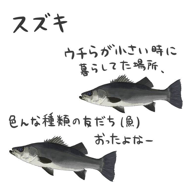 高本采実のインスタグラム
