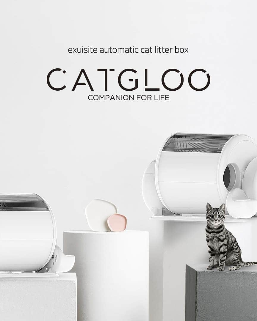 Aww Clubさんのインスタグラム写真 - (Aww ClubInstagram)「No more scooping and more cuddling! - Visit indiegogo.com and search “catgloo” - Brand  CATGLOO Product  CAT “GLAM” LOO-Automatic cat litter box - #meowed #Catgloo #musthave #litterbox #awesomecattoilet #automatic #nomorescooping #automaticlitterbox #litterrobot #ZeroOdor #SelfCleaning #bymeowed #ad」6月23日 23時09分 - meowed