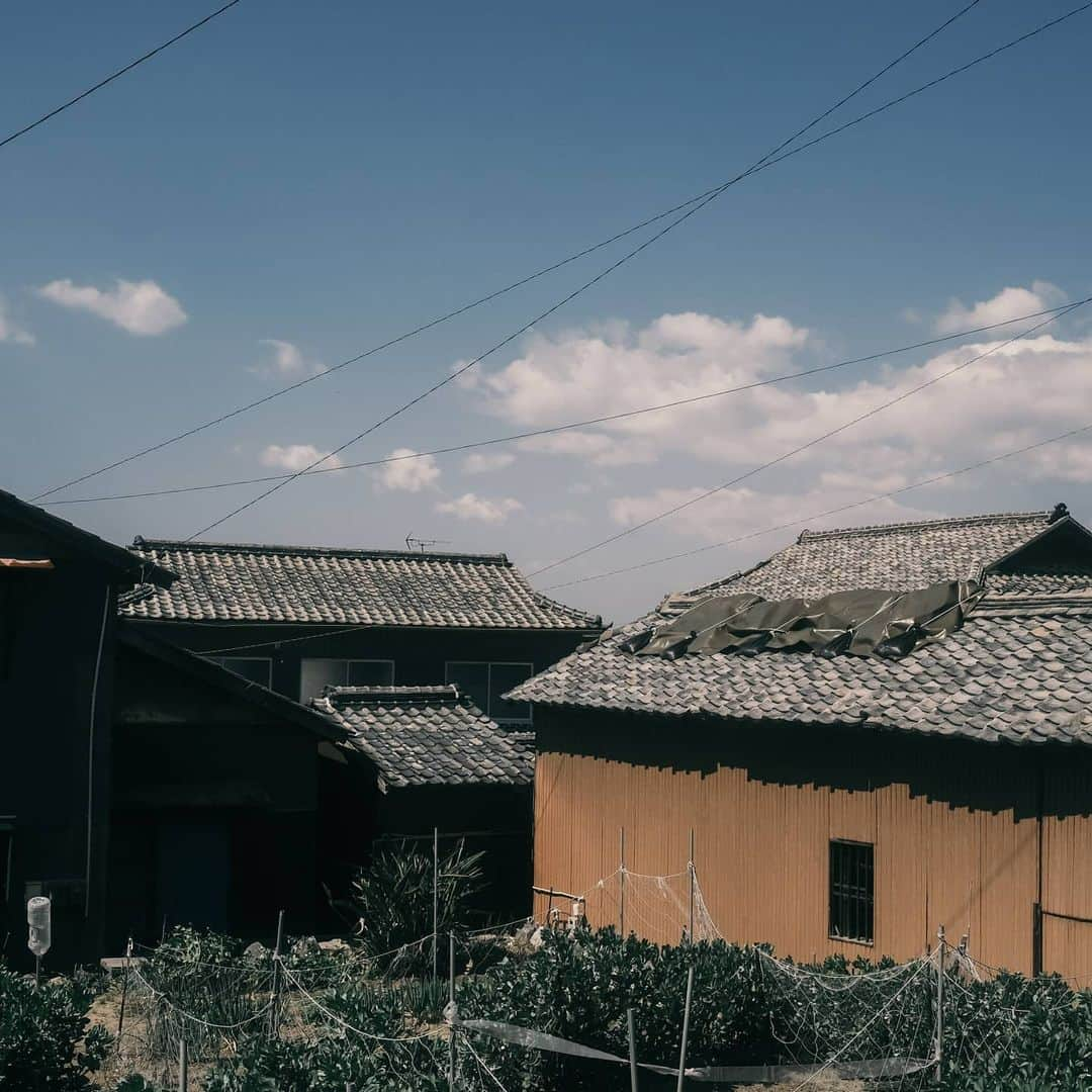 高橋伸哉さんのインスタグラム写真 - (高橋伸哉Instagram)「「或る旅と写真」 @andm_asahi の旅記事が更新されました、今回は男木島になります。 . https://www.asahi.com/and_M/20200623/13122159/?ref=andm_tw . . #photography #35mm #35mmfilm #filmcamera  #lifeisbeautiful  #streetphotography #streetmagazine #tokyocameraclub  #edscvr_moodjapantrip #vscofilm #naturephotography #男木島 #allshots #travelphotography #旅 #旅行」6月23日 14時20分 - t.1972