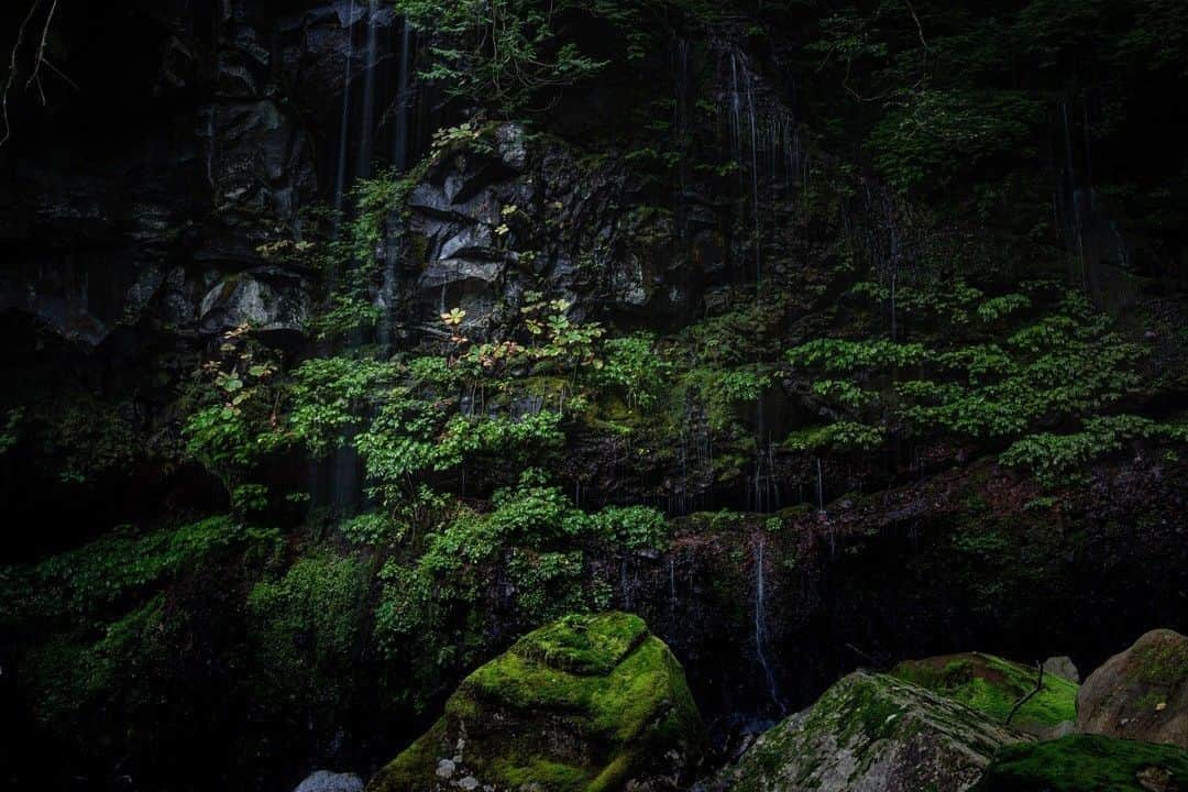 日本の国立公園さんのインスタグラム写真 - (日本の国立公園Instagram)「Photo by @uranotakechan⠀ https://www.instagram.com/p/CBpq5qhATqk/⠀ .⠀ #日光国立公園⠀ #NikkoNationalPark⠀ .⠀ On our Instagram, we will also share wonderful photos of National Parks of Japan posted on Instagram with the tag #nationalparksjp. We look forward to your participation!⠀ .⠀ #NationalPark #nationalparks #nature #findyourpark #instafollow #japan #landscape #landscape_lovers #ourplanetdaily #landscapephotography #hiking #outdoors #traveling #travel #explore #visitjapanjp #日本 #國家公園 #일본 #국립공원 #国立公園」6月23日 15時00分 - nationalpark_japan