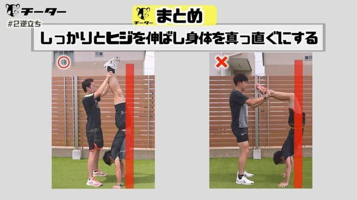 秋本真吾のインスタグラム：「【#2 逆立ちを配信】﻿ ﻿ チーターでは速く走るために必要な身体づくりのトレーニングも配信しています。﻿ ﻿ 足が速くなる技術的な方法ができるようになるためのおすすめの身体づくりのトレーニングを紹介します。﻿ ﻿ 足が速くなりたい子供たち、現場のコーチ、先生の皆さんのお手伝いになれたらと思います。﻿ ﻿ 配信スケジュールもウェブサイトに記載しております。﻿ チーターへの入会はプロフィールページからアクセスできます。﻿ ﻿ #チーターになろう﻿ #月額1000円﻿ #過去の動画も全て見れます﻿ #秋本真吾」