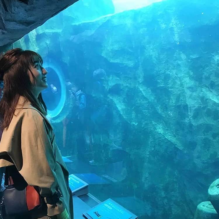 フジテレビ「空旅をあなたへ」さんのインスタグラム写真 - (フジテレビ「空旅をあなたへ」Instagram)「今週木曜22:54～の「空旅をあなたへ」は、 2018年6月19日に放送したモデル・堀田茜さん 北海道の旅をお楽しみください✨  北海道・旭川にある 旭山動物園☀️ そこには、まるで空を飛ぶように泳ぐペンギンや、  ホッキョクグマの迫力ある「もぐもぐタイム」を 目の前で堪能しています！！👀 海の生き物たちの様子、是非ご覧下さい！  #堀田茜 さん #モデル #フジテレビ #空旅 #空旅をあなたへ #北海道 #旭川 #動物園 #旭山動物園 #ペンギン #ホッキョクグマ #soratabi」6月23日 15時55分 - soratabi_fuji