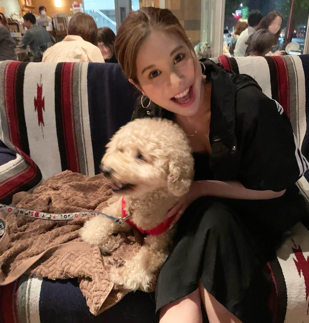 Yuriyaさんのインスタグラム写真 - (YuriyaInstagram)「やっと会えた私の中の芸能犬❤️笑 渡辺ハッピーくん🐩🐾 @watanabehappy  わたし最大級に犬アレルギーなんだけど、会いたくてたまらなかった🤣🧡 やっと会えて嬉しー🤣🧡🧡 ただ性格が時代劇みたいな暴れん坊すぎ❤️わら #watanabehappy」6月23日 16時03分 - yuriya_michelle